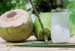 Uống nước dừa giúp giảm các cơn đau nhức dạ dày